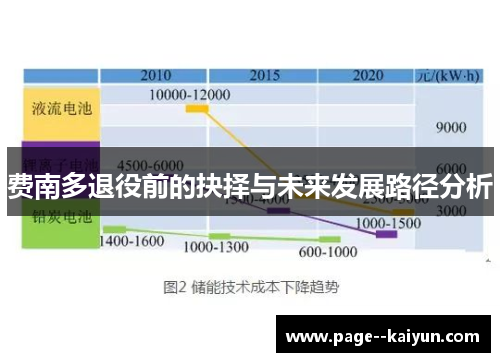 费南多退役前的抉择与未来发展路径分析