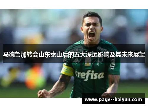 马德鲁加转会山东泰山后的五大深远影响及其未来展望